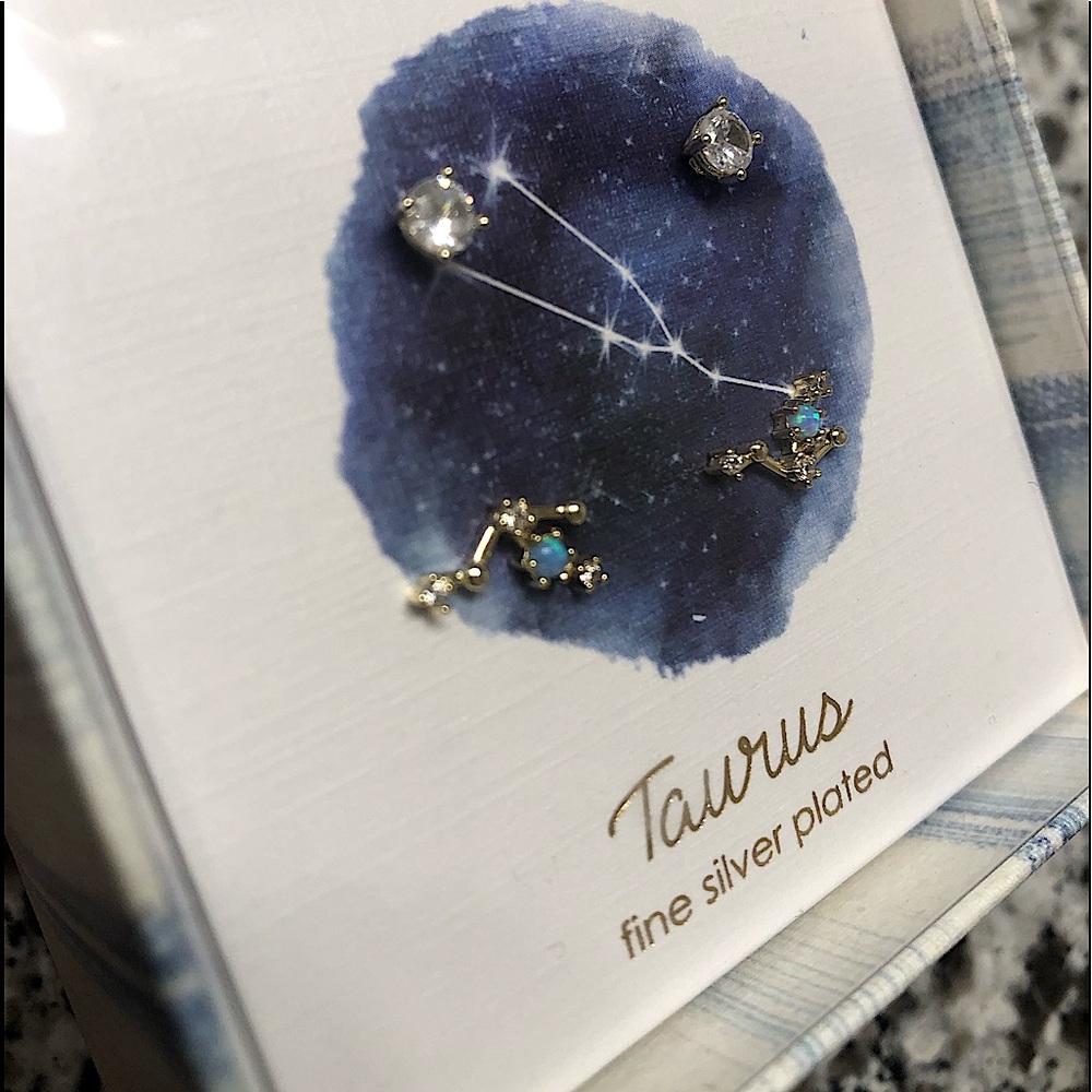 Taurus  ♉️ Earring Set Silver Plated